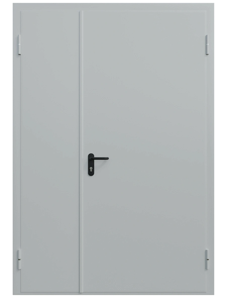 Двупольная техническая дверь глухая